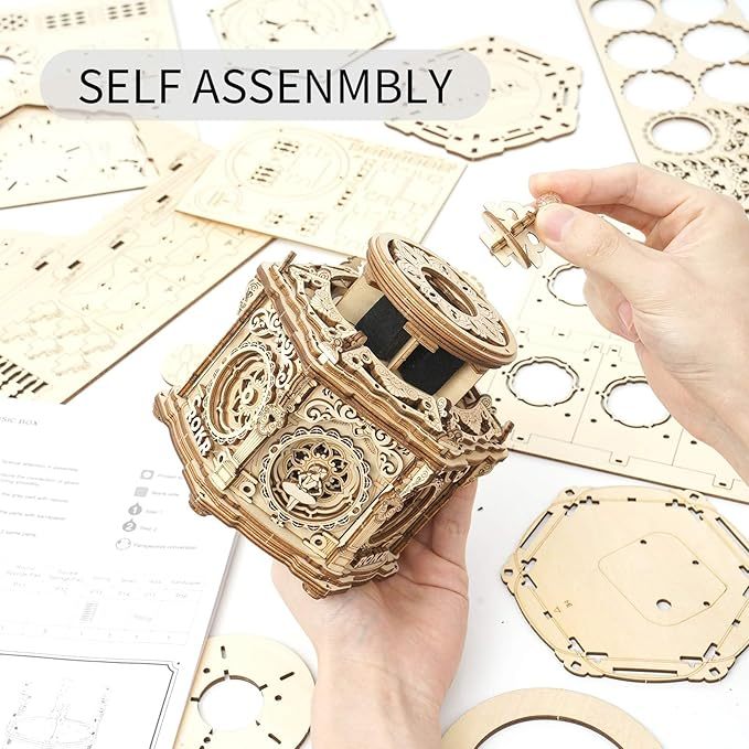 CraftAura Secret Garden DIY Mechanical Music Box AMK52